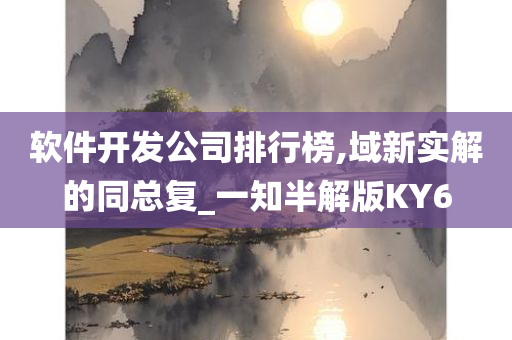 软件开发公司排行榜,域新实解的同总复_一知半解版KY6