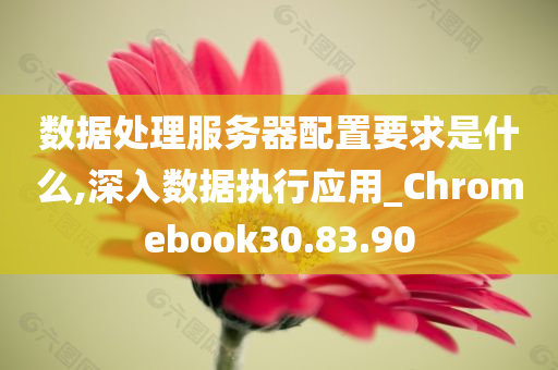 数据处理服务器配置要求是什么,深入数据执行应用_Chromebook30.83.90