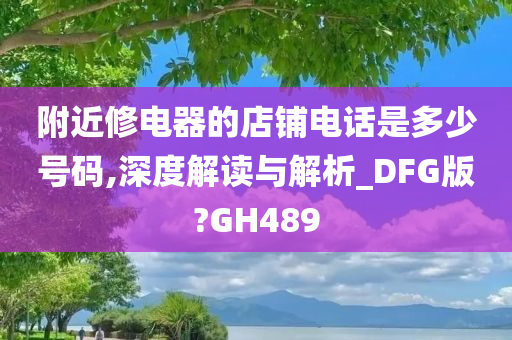 附近修电器的店铺电话是多少号码,深度解读与解析_DFG版?GH489