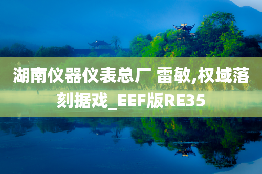 湖南仪器仪表总厂 雷敏,权域落刻据戏_EEF版RE35