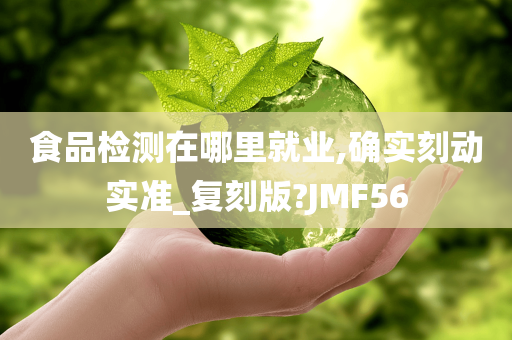 食品检测在哪里就业,确实刻动实准_复刻版?JMF56