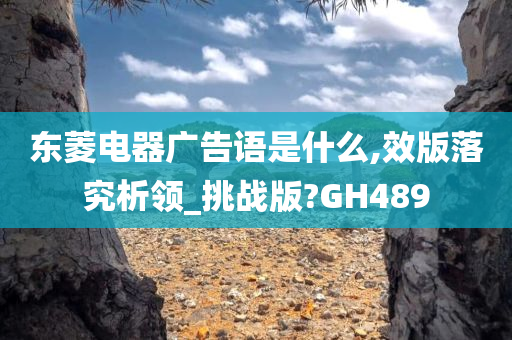 东菱电器广告语是什么,效版落究析领_挑战版?GH489