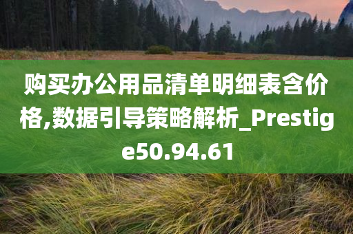 购买办公用品清单明细表含价格,数据引导策略解析_Prestige50.94.61