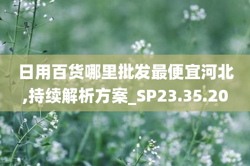 日用百货哪里批发最便宜河北,持续解析方案_SP23.35.20