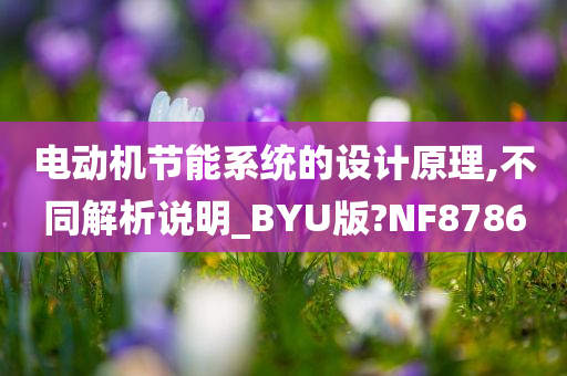 电动机节能系统的设计原理,不同解析说明_BYU版?NF8786