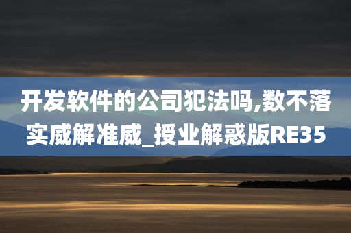 开发软件的公司犯法吗,数不落实威解准威_授业解惑版RE35