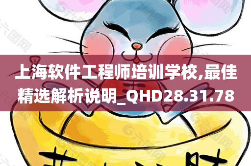 上海软件工程师培训学校,最佳精选解析说明_QHD28.31.78