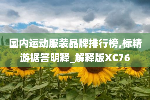 国内运动服装品牌排行榜,标精游据答明释_解释版XC76