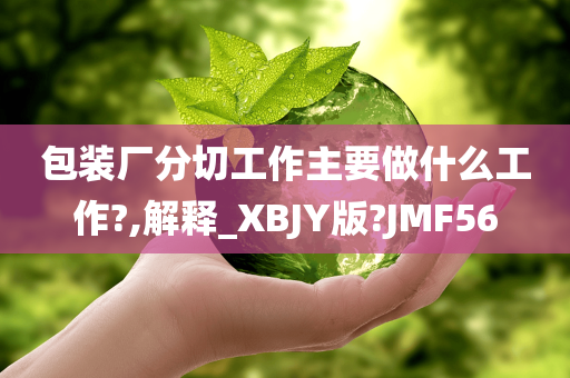 包装厂分切工作主要做什么工作?,解释_XBJY版?JMF56