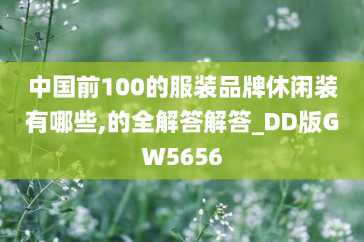 中国前100的服装品牌休闲装有哪些,的全解答解答_DD版GW5656