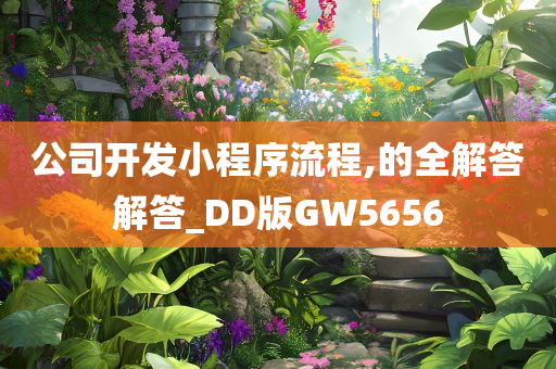 公司开发小程序流程,的全解答解答_DD版GW5656