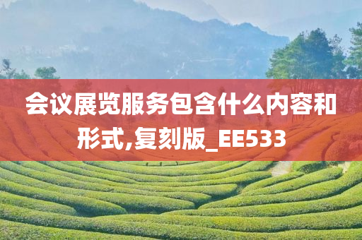 会议展览服务包含什么内容和形式,复刻版_EE533