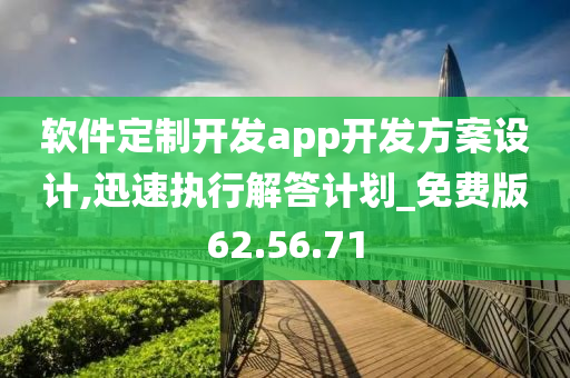 软件定制开发app开发方案设计,迅速执行解答计划_免费版62.56.71