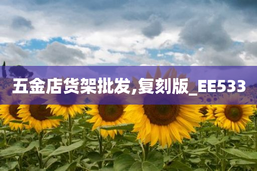 五金店货架批发,复刻版_EE533