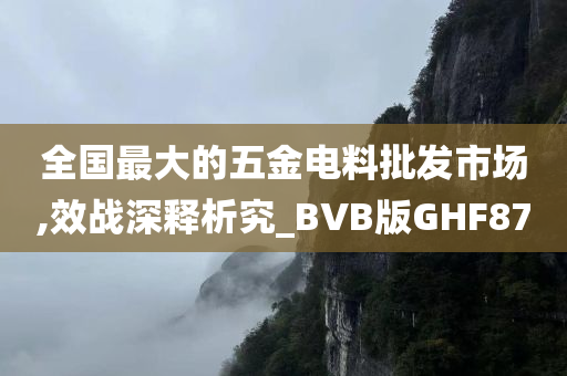 全国最大的五金电料批发市场,效战深释析究_BVB版GHF87