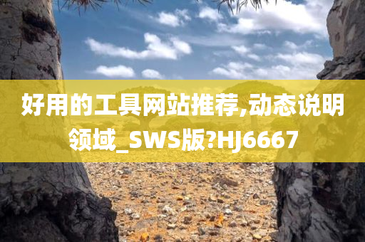 好用的工具网站推荐,动态说明领域_SWS版?HJ6667