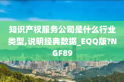 知识产权服务公司是什么行业类型,说明经典数据_EQQ版?NGF89