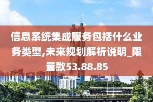 信息系统集成服务包括什么业务类型,未来规划解析说明_限量款53.88.85