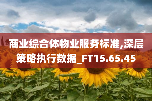 商业综合体物业服务标准,深层策略执行数据_FT15.65.45