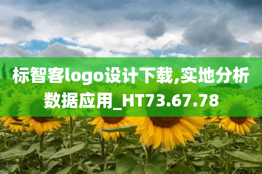 标智客logo设计下载,实地分析数据应用_HT73.67.78