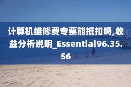 计算机维修费专票能抵扣吗,收益分析说明_Essential96.35.56