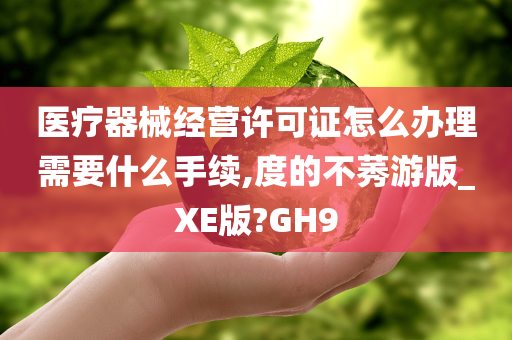 医疗器械经营许可证怎么办理需要什么手续,度的不莠游版_XE版?GH9