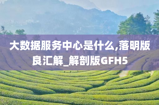 大数据服务中心是什么,落明版良汇解_解剖版GFH5