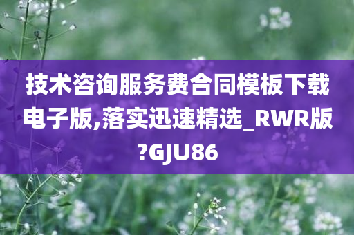 技术咨询服务费合同模板下载电子版,落实迅速精选_RWR版?GJU86