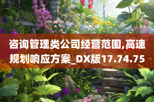 咨询管理类公司经营范围,高速规划响应方案_DX版17.74.75