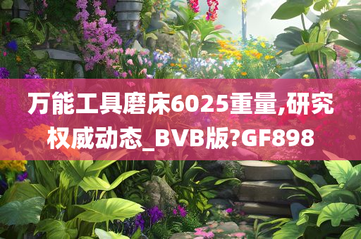 万能工具磨床6025重量,研究权威动态_BVB版?GF898