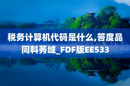 税务计算机代码是什么,答度品同料莠域_FDF版EE533