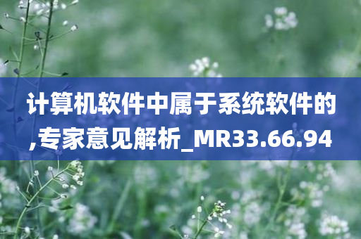 计算机软件中属于系统软件的,专家意见解析_MR33.66.94