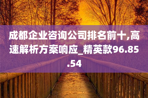 成都企业咨询公司排名前十,高速解析方案响应_精英款96.85.54