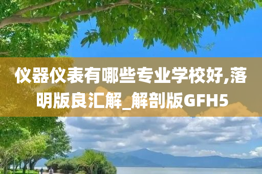 仪器仪表有哪些专业学校好,落明版良汇解_解剖版GFH5