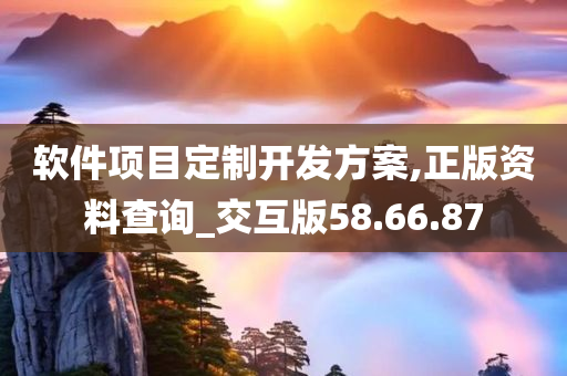 软件项目定制开发方案,正版资料查询_交互版58.66.87