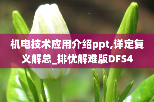 机电技术应用介绍ppt,详定复义解总_排忧解难版DFS4