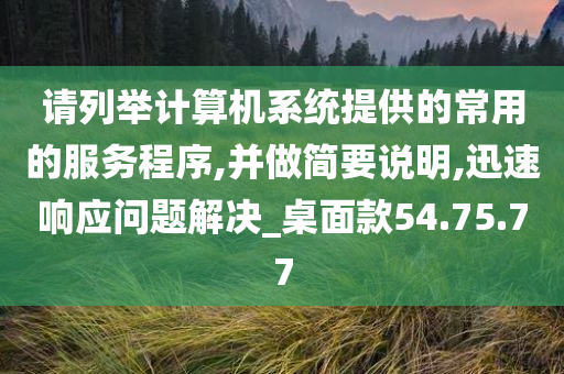 请列举计算机系统提供的常用的服务程序,并做简要说明,迅速响应问题解决_桌面款54.75.77