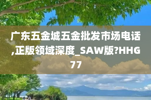 广东五金城五金批发市场电话,正版领域深度_SAW版?HHG77