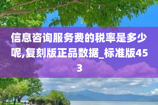 信息咨询服务费的税率是多少呢,复刻版正品数据_标准版453