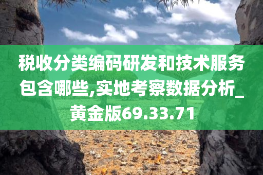 税收分类编码研发和技术服务包含哪些,实地考察数据分析_黄金版69.33.71