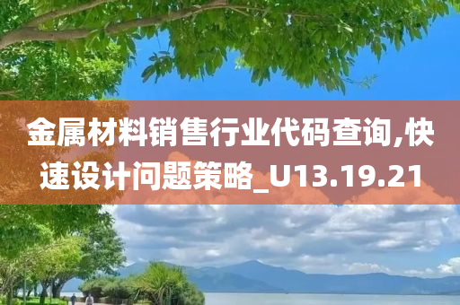 金属材料销售行业代码查询,快速设计问题策略_U13.19.21