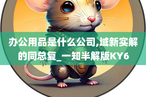 办公用品是什么公司,域新实解的同总复_一知半解版KY6