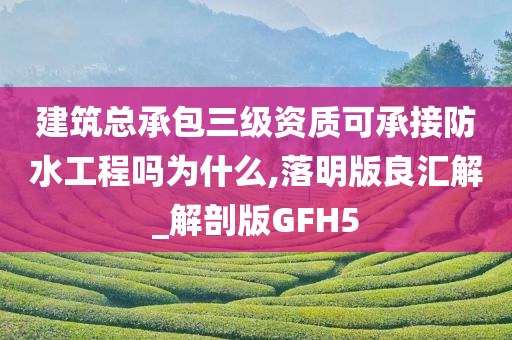 建筑总承包三级资质可承接防水工程吗为什么,落明版良汇解_解剖版GFH5