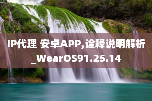 IP代理 安卓APP,诠释说明解析_WearOS91.25.14