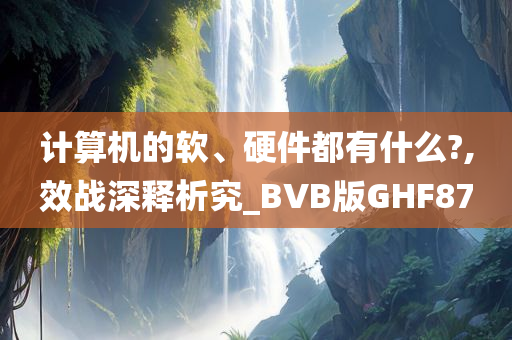 计算机的软、硬件都有什么?,效战深释析究_BVB版GHF87