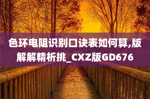 色环电阻识别口诀表如何算,版解解精析挑_CXZ版GD676