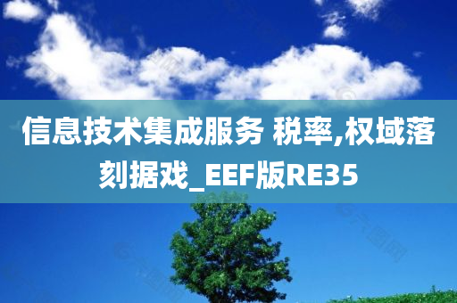 信息技术集成服务 税率,权域落刻据戏_EEF版RE35