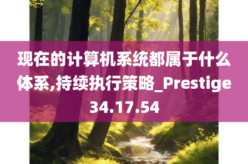 现在的计算机系统都属于什么体系,持续执行策略_Prestige34.17.54