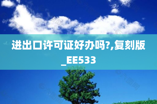 进出口许可证好办吗?,复刻版_EE533