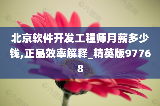 北京软件开发工程师月薪多少钱,正品效率解释_精英版97768